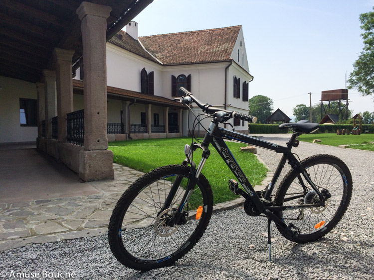 Plimbare cu bicicleta la Daniel Castle Transilvania Romania