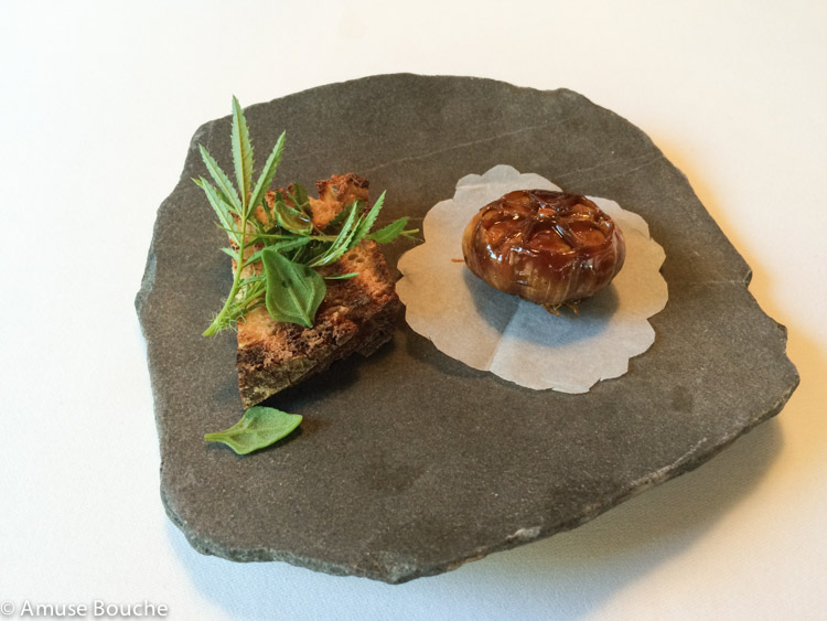 Ail glace la restaurant Mugaritz San Sebastian 2 stele Michelin