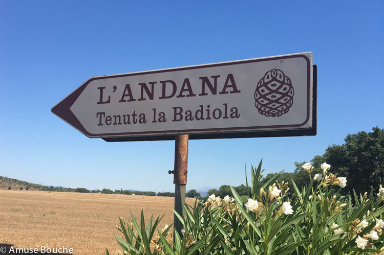 Andana Toscana Tenuta la Badiola