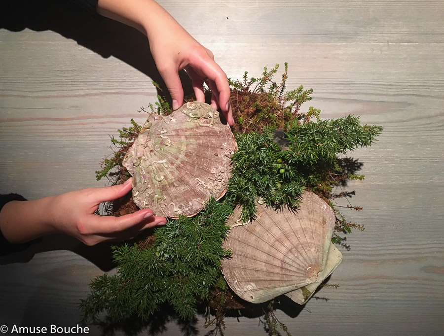 Scallop cooked over burning juniper branches at Faviken