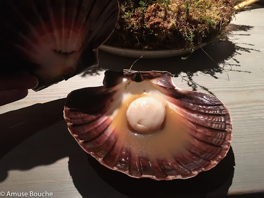 Scallop “I skalet ur elden” cooked over burning juniper branches at Faviken