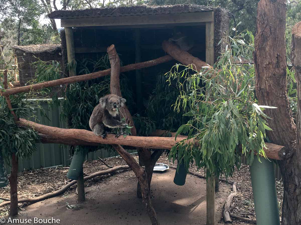 Australia Wildlife Park Kwola