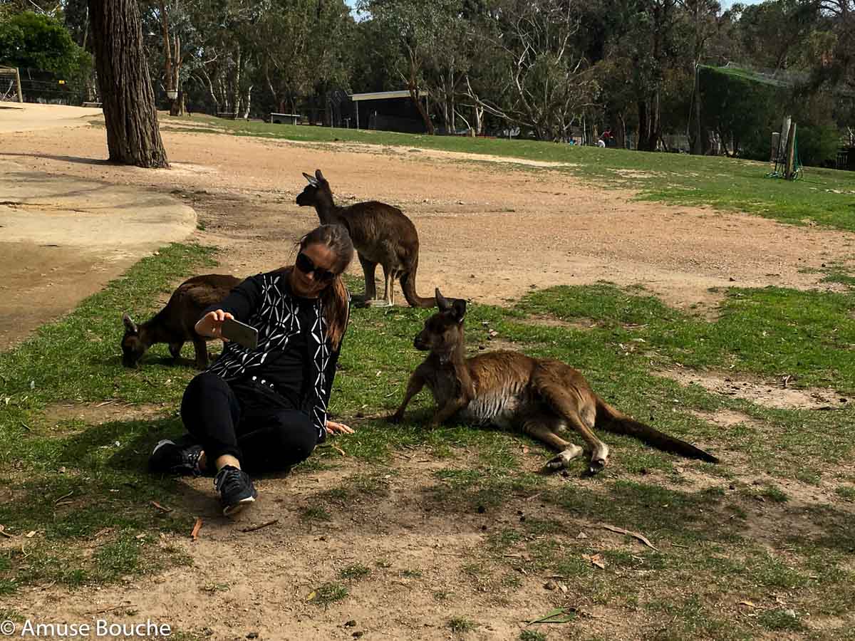 Australia Wildlife Park