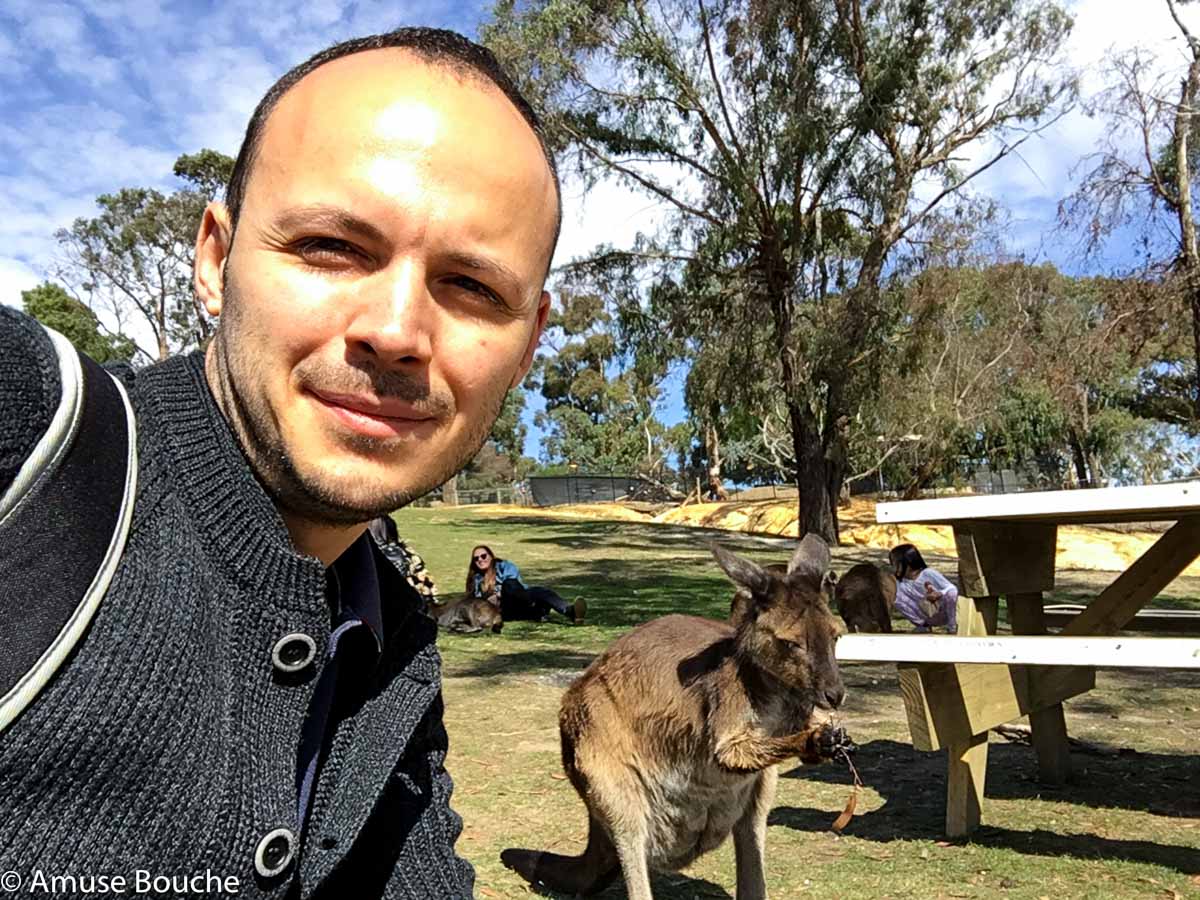 Wildlife Park Kangaroo