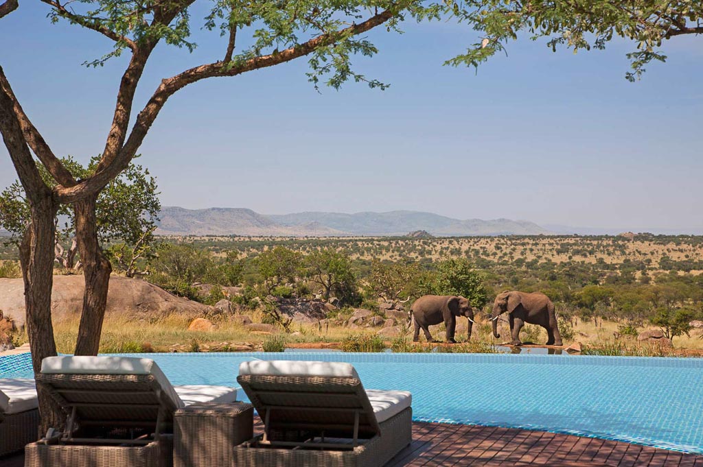 Hotels favorite Serengeti