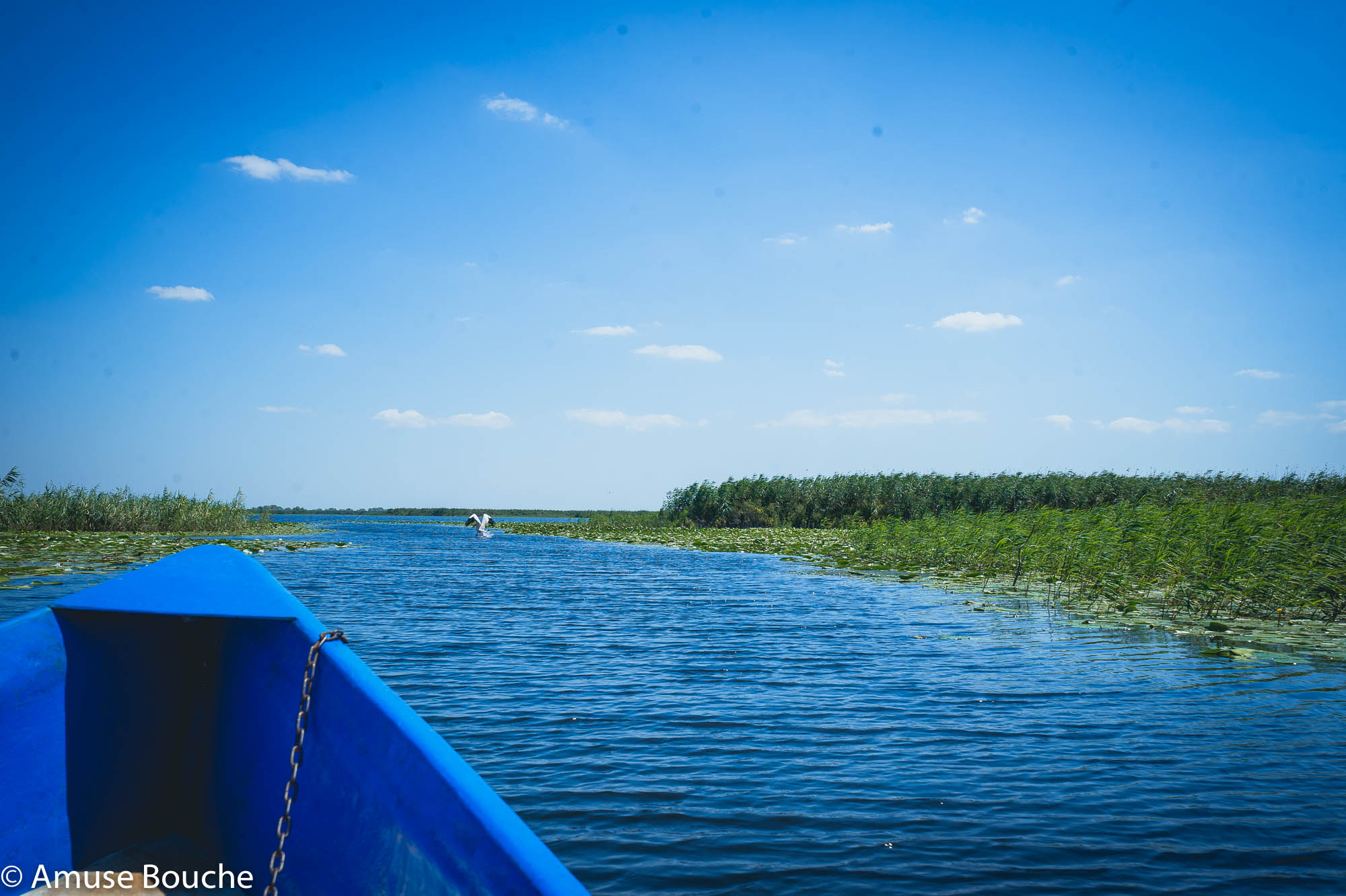 Danube Delta boat tour