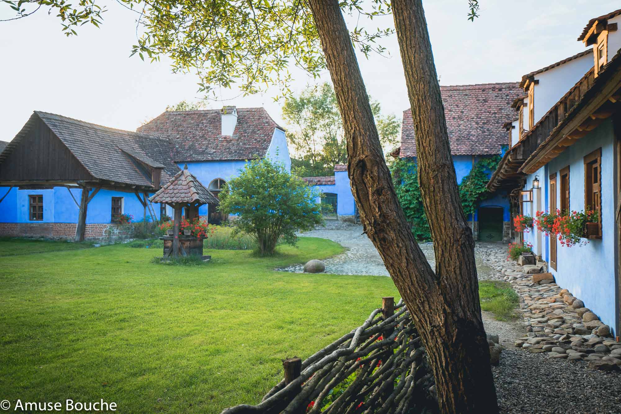 Casa Prințul de Wales de la Viscri gradina