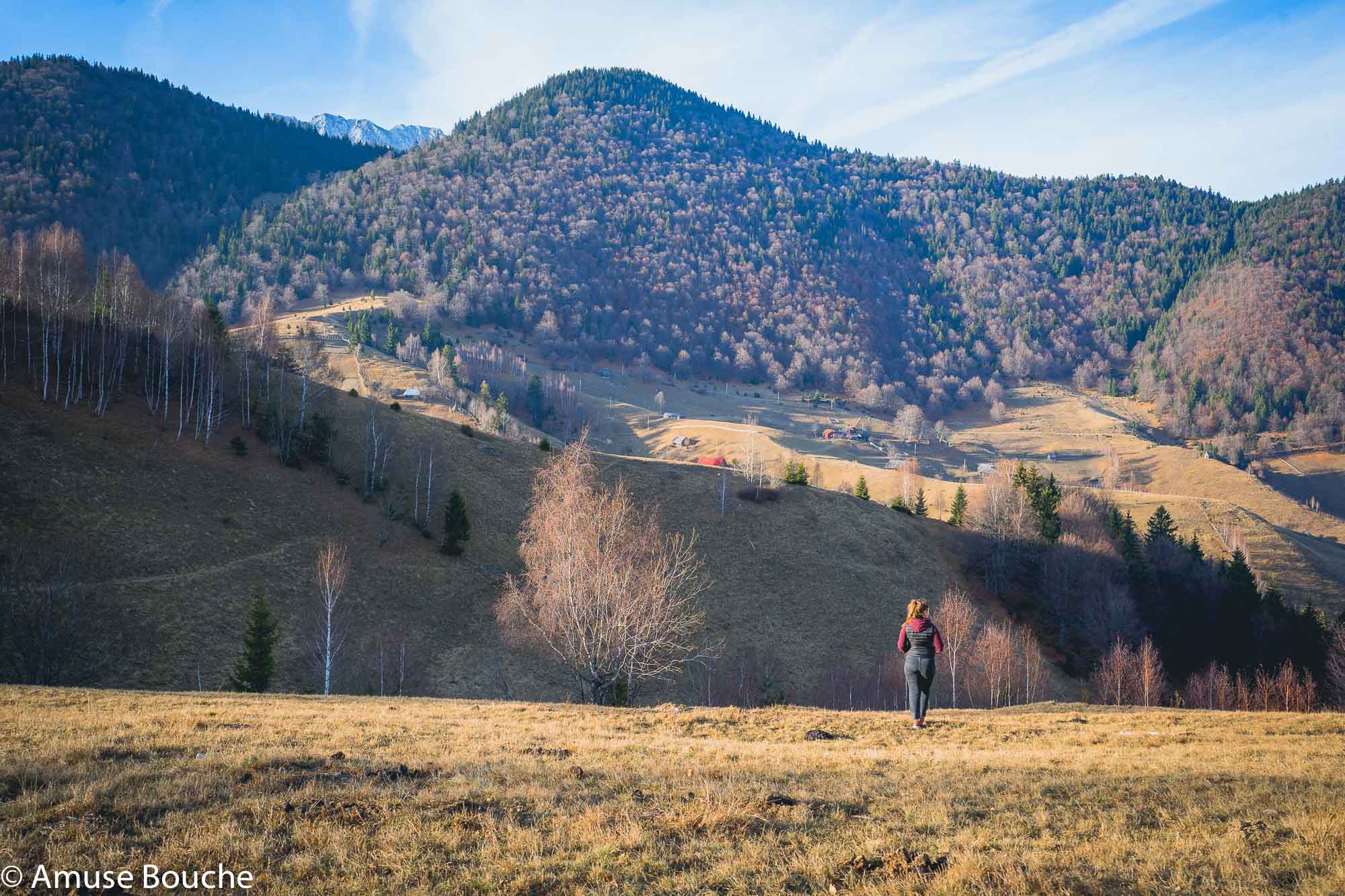 Akasha Yoga Retreat Moeciu Sat Pestera natura