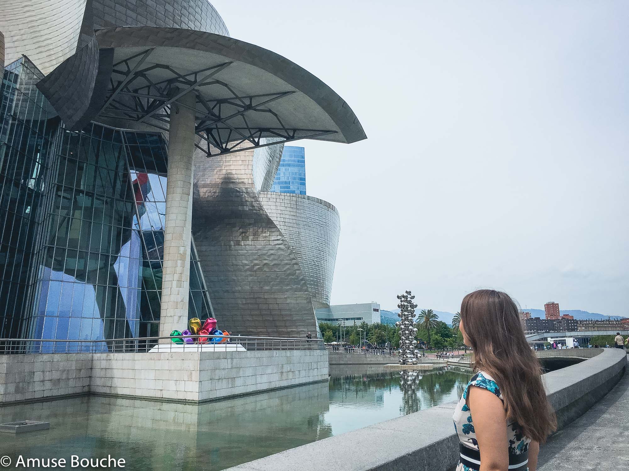 Țara Bascilor Guggenheim Bilbao