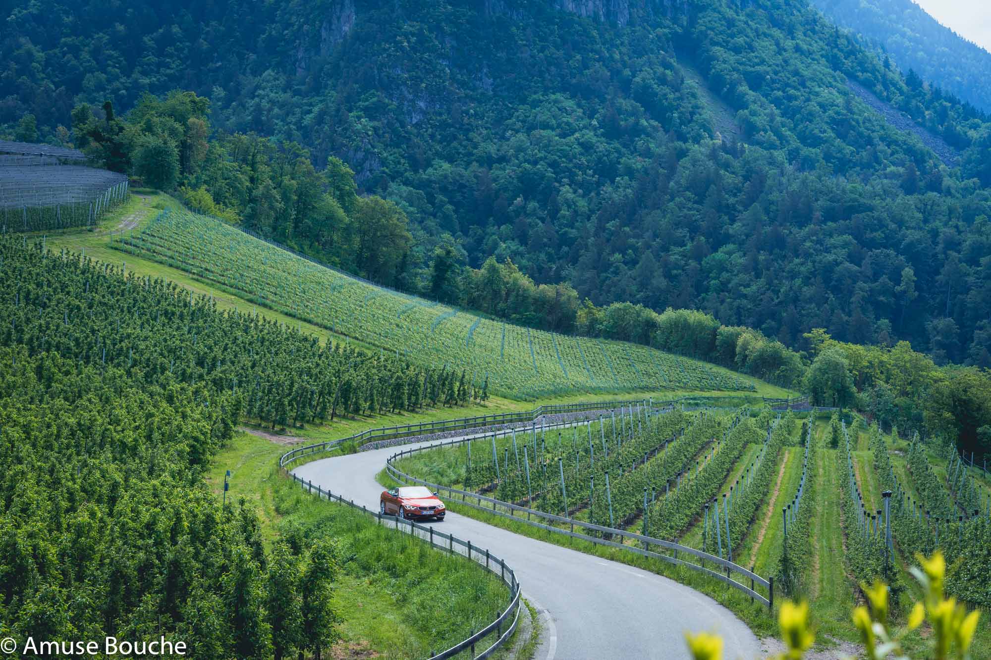 Route du Bonheur Italia South Tyrol Seria 4 Cabrio dealuri vii Bolzano