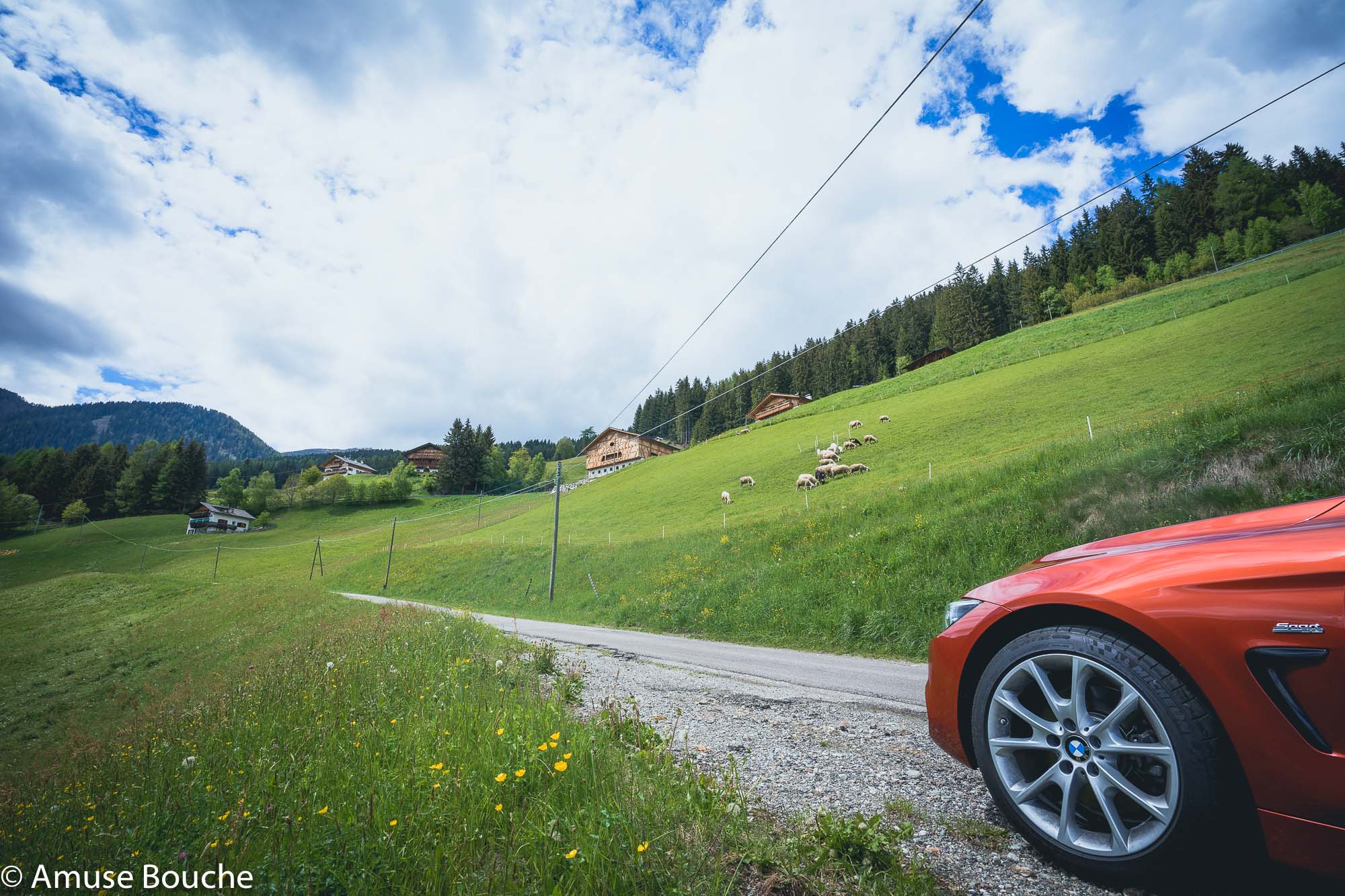 Route du Bonheur Italia BMW detaliu