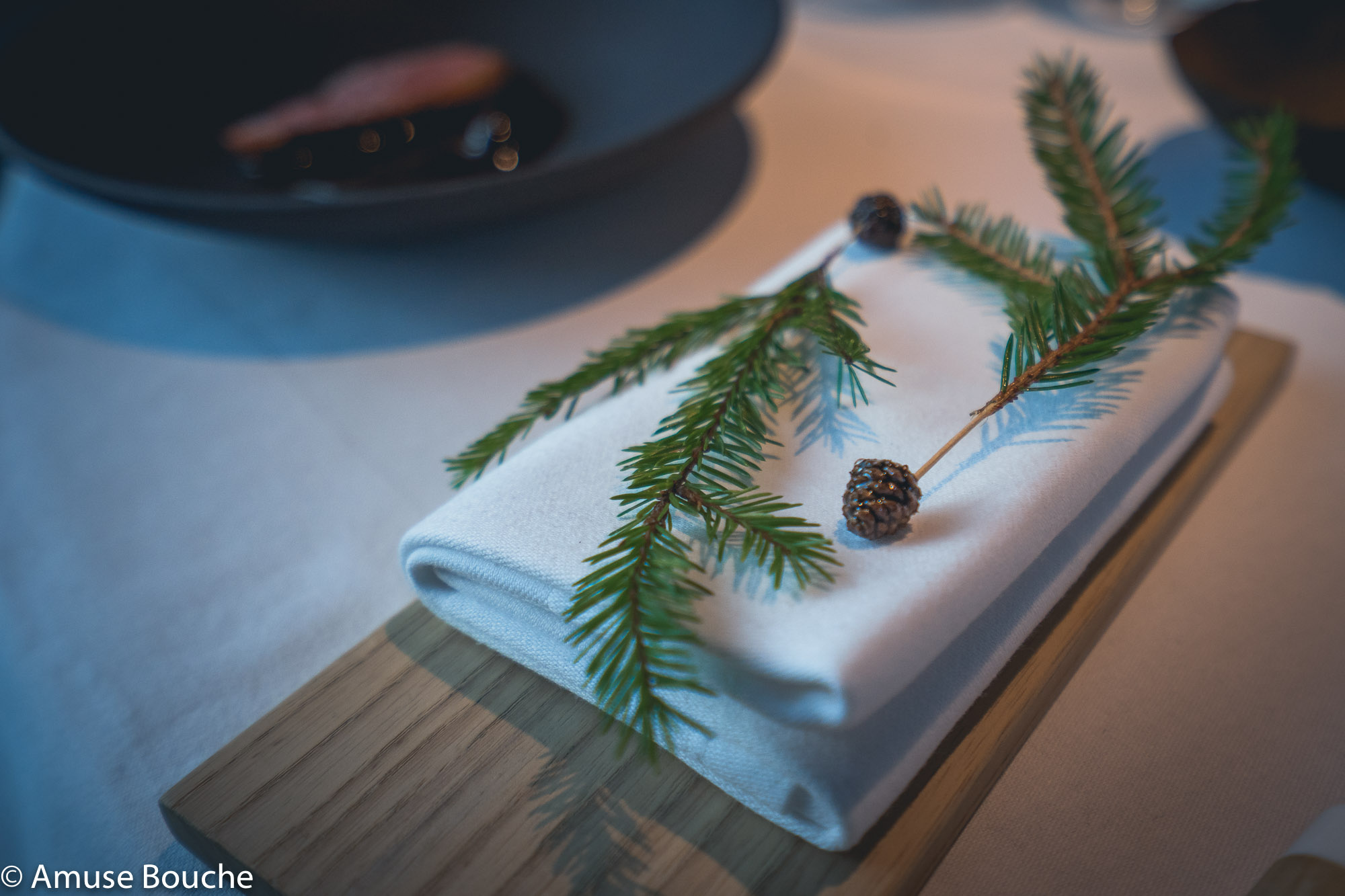 Maaemo pine cones