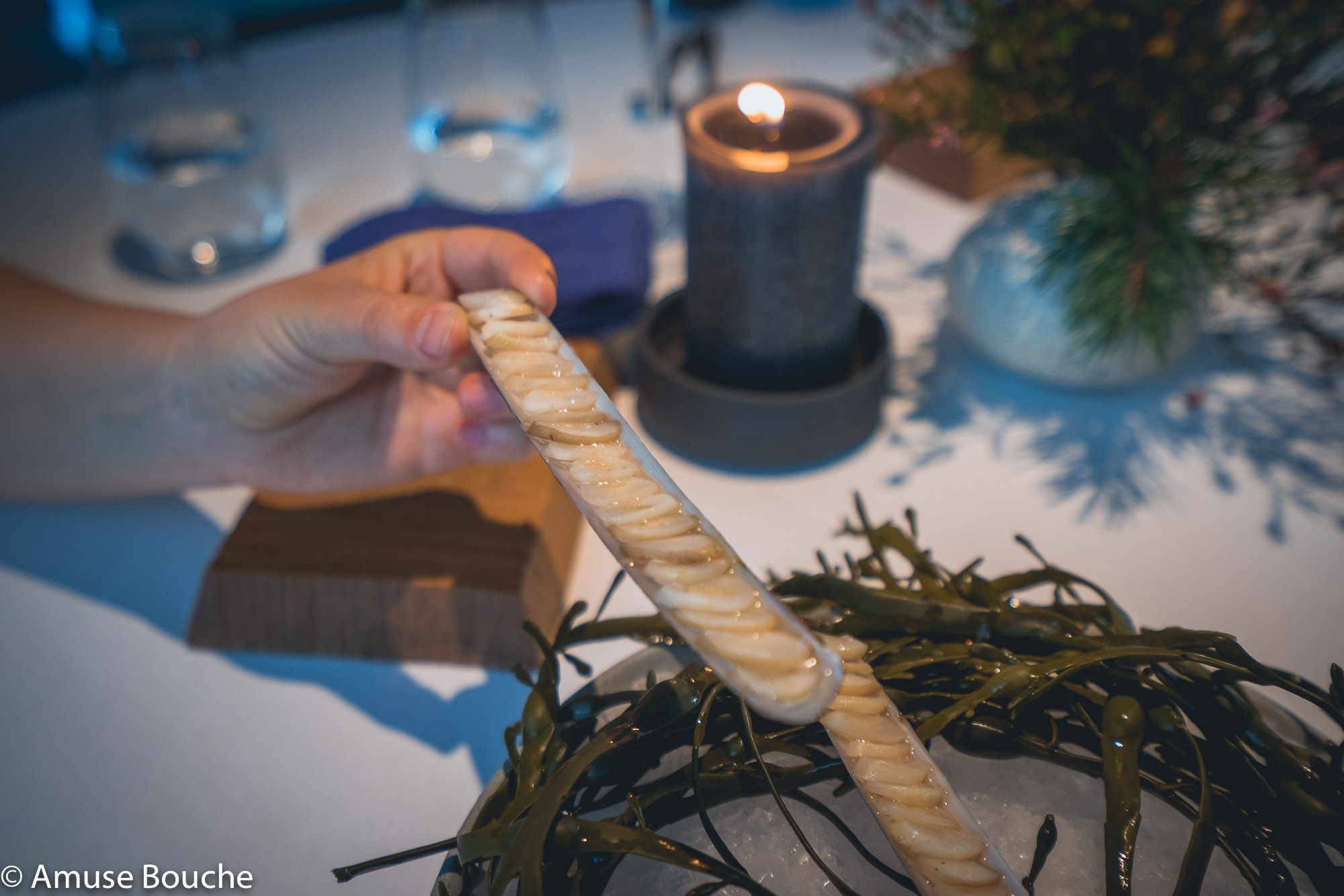 Maaemo razor clams