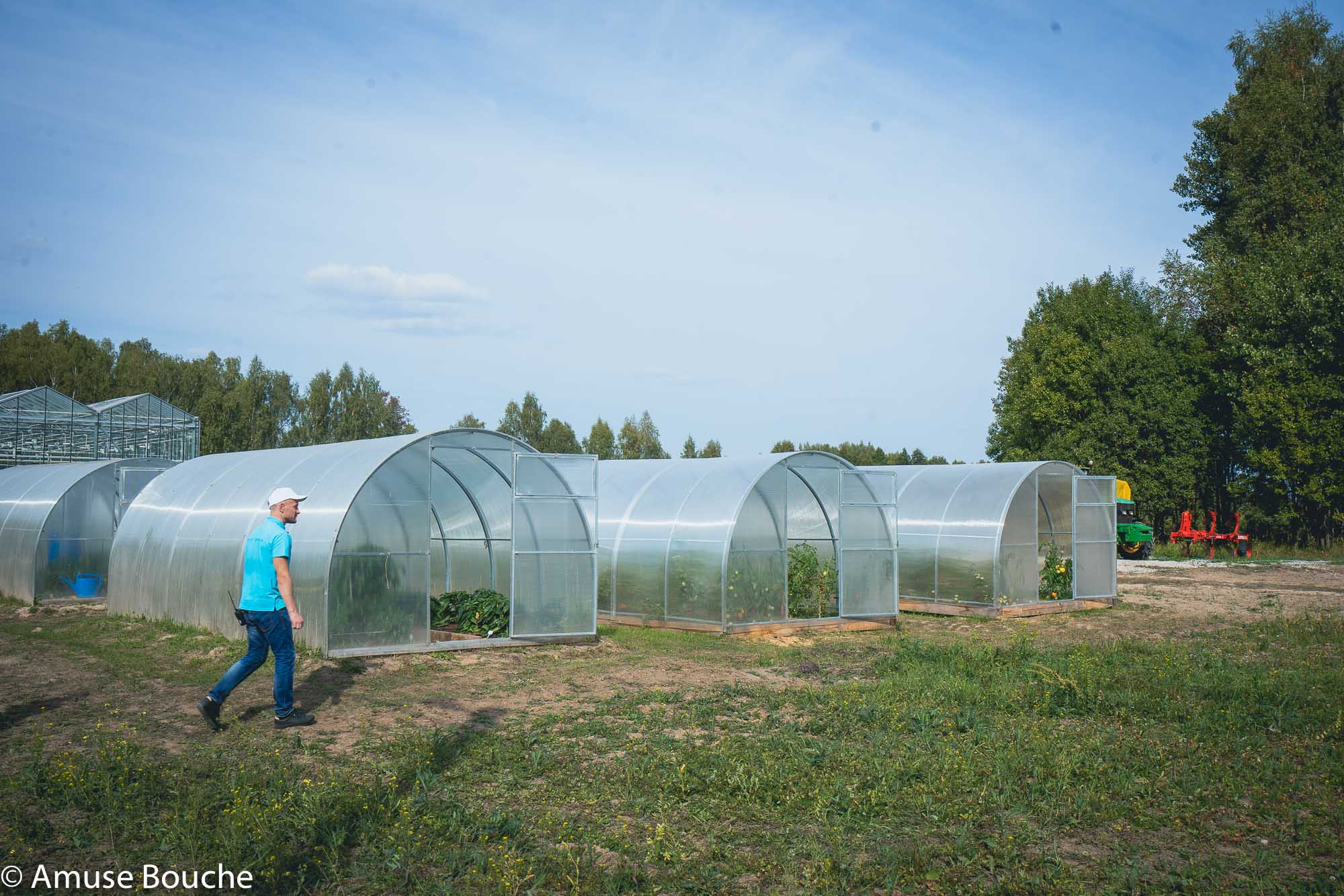 Twins Garden Festival Moscova ferma Kaluga sere