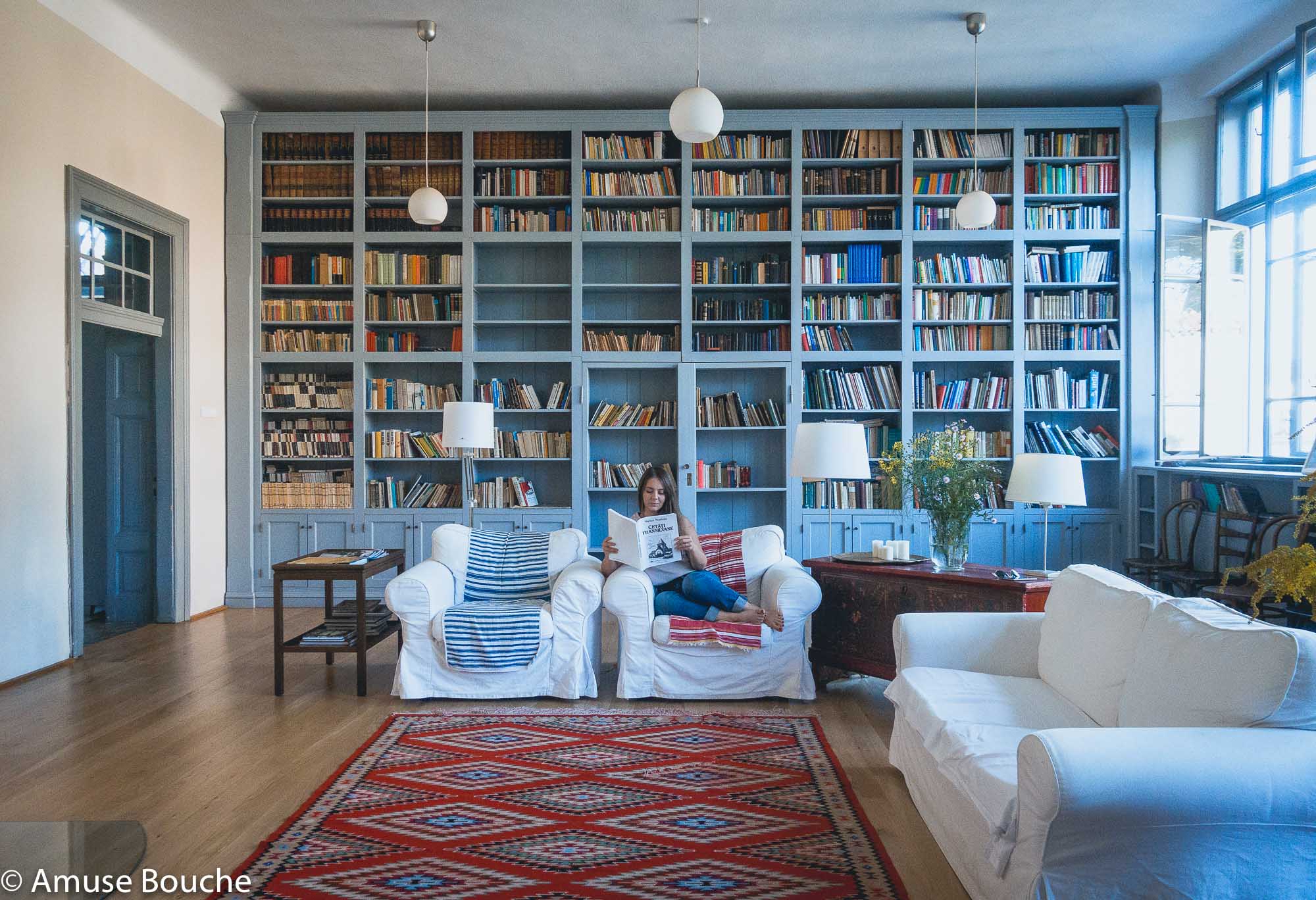 Cincșor interior biblioteca