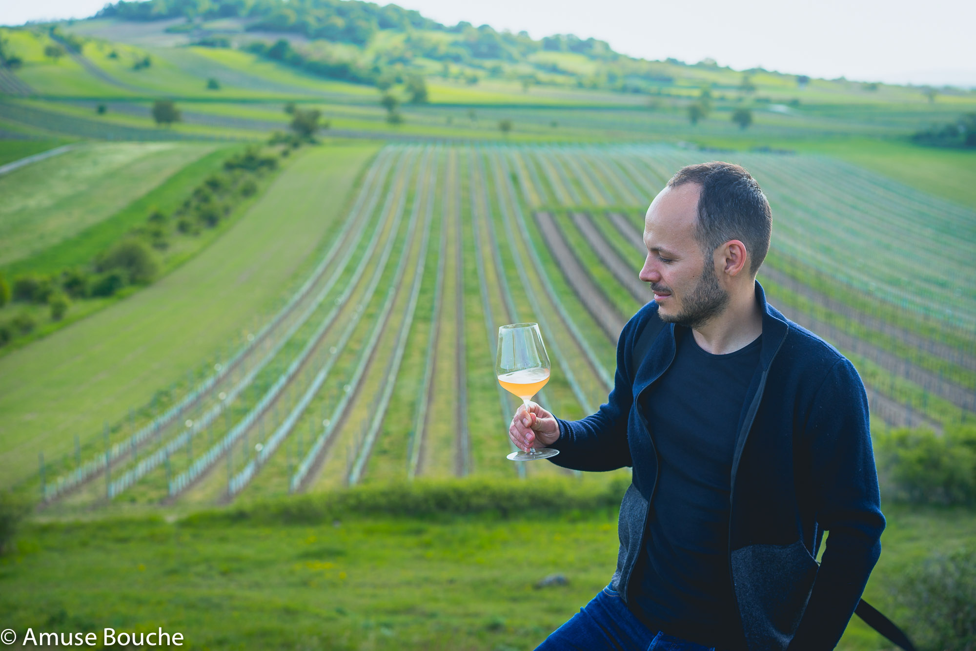 Taubenkobel Austria Burgenland vinuri biodinamice Gut Oggau
