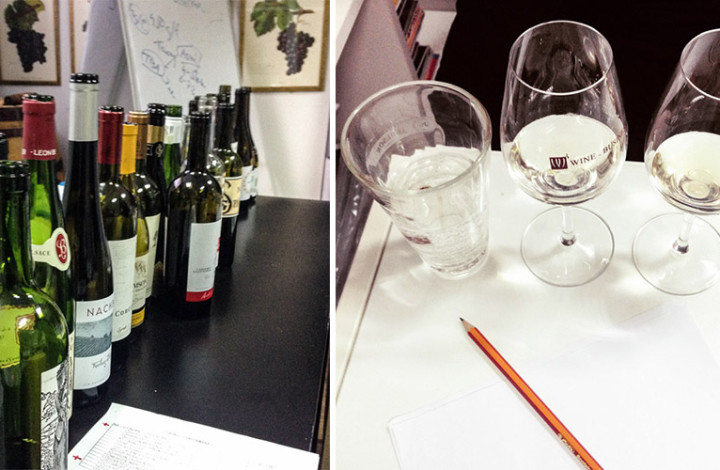 curs de vinuri WSET modul 1 Bucuresti