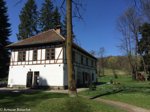 Zabola machine House