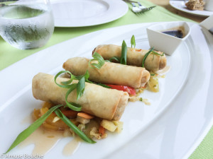 Diplomat Spring Rolls