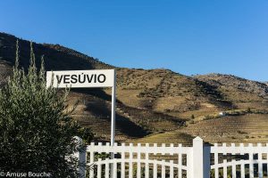 The Presidential Quinto do Vesuvio